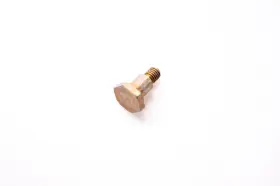 10-55298 Aftermarket Screw Nos