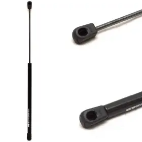 Gnsi-5300-30 Associated Spring Gsni-5300-30 Boat Gas Shock 20 Inch 15 Lb Black