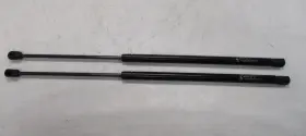 Gsni-9090 Associated Spring Raymond Gas 24 Inch Black Pair Of 2 Marine Boat