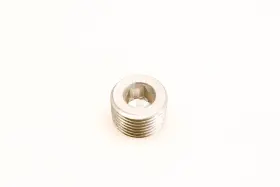 309961 Omc Drain Plug Screw Nos