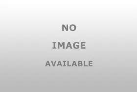 5635 Taylormade Ogr Dogs Best Frnd 12x18 Nylon Flag