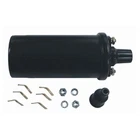 Dometic 118-5438 Ignition Coil Sierra Marine Engine Parts New. Price: $79.59.