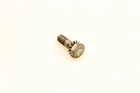 Omc 553556 Screw Nos New. Price: $9.47.