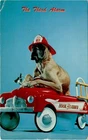 Third Alarm, Chief, Hook Ladder, West Nyack, Dexter Press, Inc. Postcard Used. Price: $19.95.